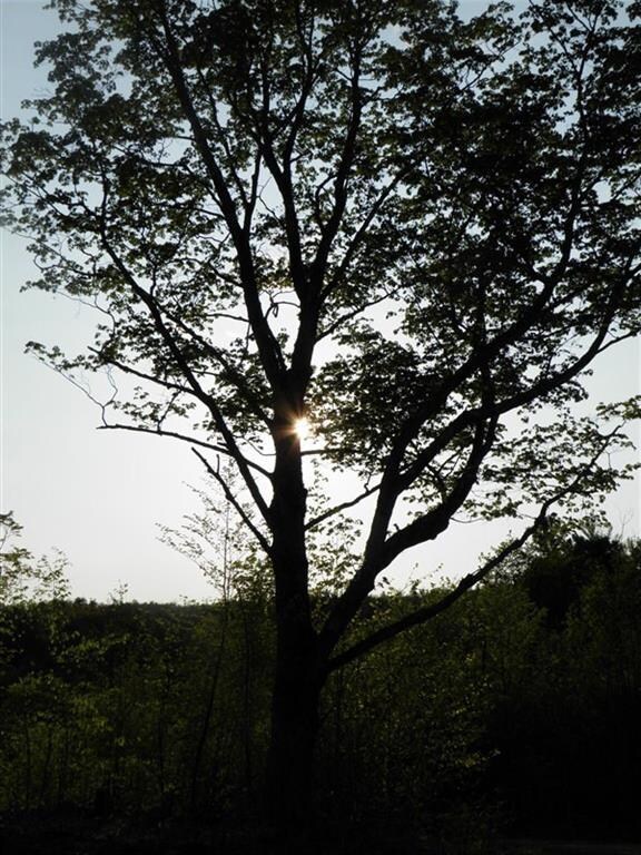 US RT 2 Us Route 2 W, Wilton, ME 04294 - photo 7