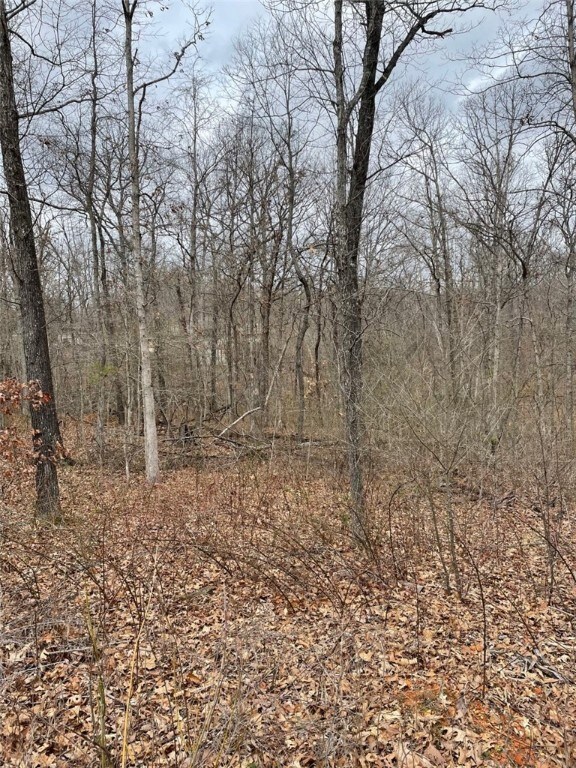 0 Rockhill Ln unit 1241826, Bella Vista, AR 72715 - photo 3