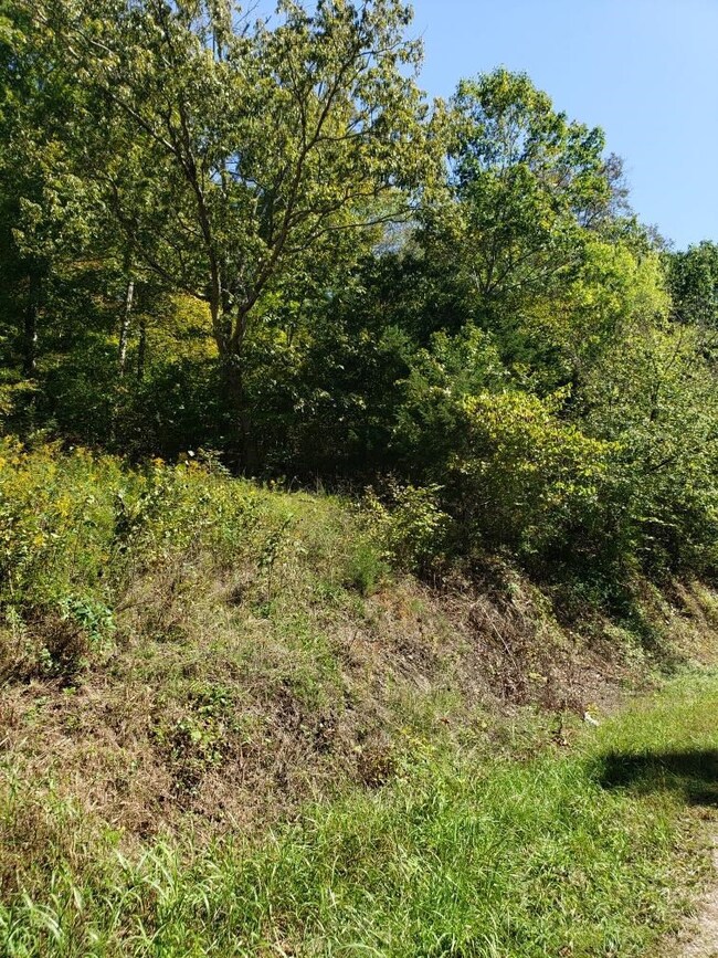 2410 Spangle Rd, Morristown, TN 37814 - photo 2