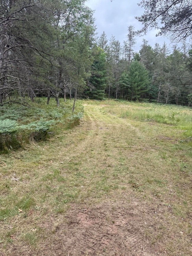 4177 S Michway, Baldwin, MI 49304 - photo 7