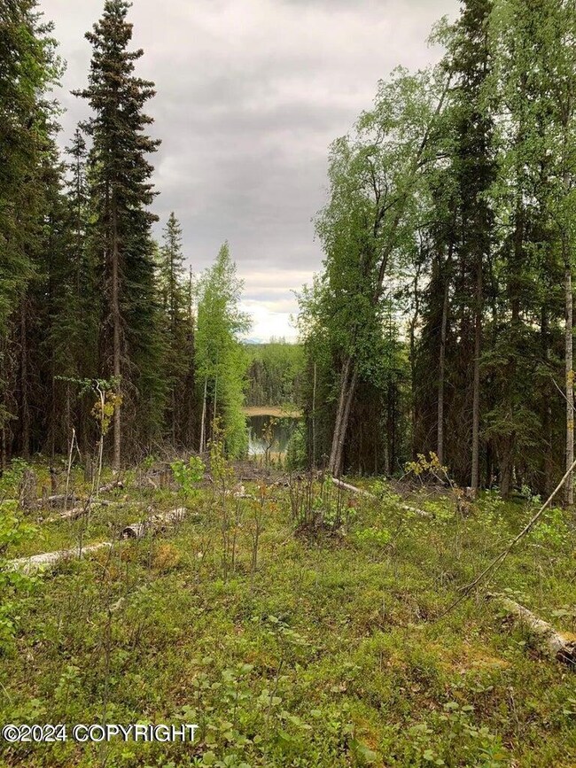 36570 Edgington Rd, Sterling, AK 99672 - photo 4