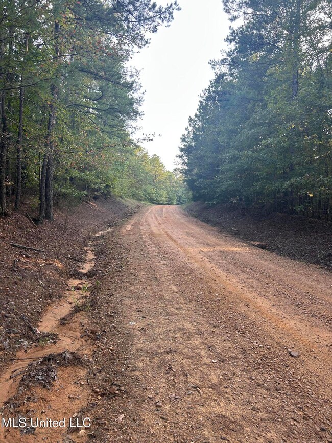0 Conley Rd, Gore Springs, MS 38929 - photo 7