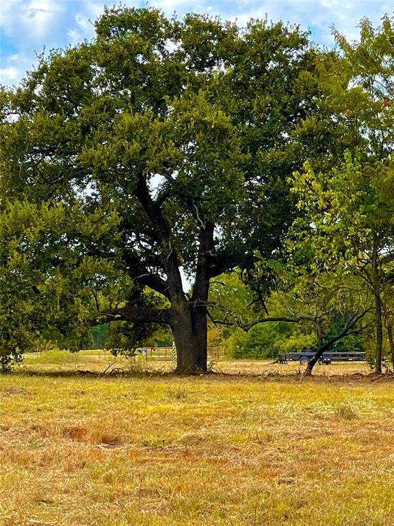 110 County Road 208, Gainesville, TX 76240 - photo 2