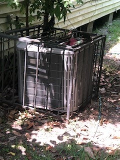 4503 Wayne St, Houston, TX 77026 - photo 5