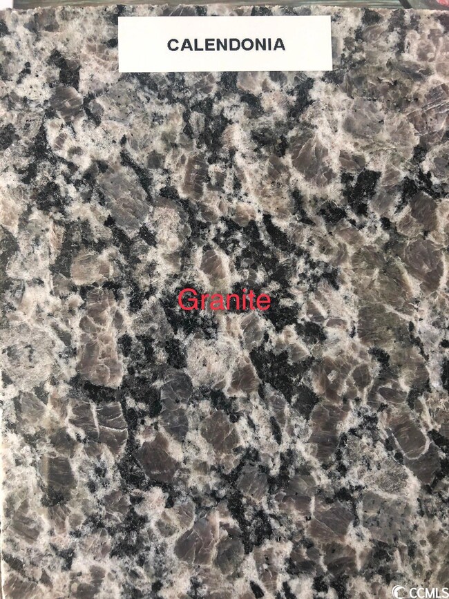 5064 Adrian Hwy unit Tupelo 2, Conway, SC 29526 - photo 4