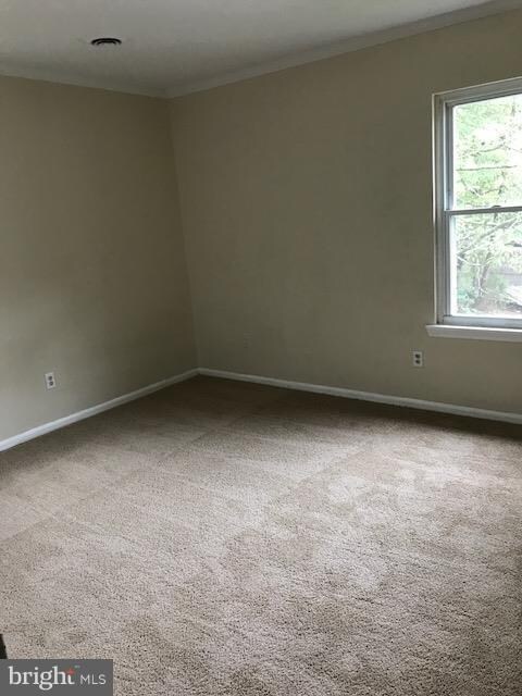 4288 Germanna Hwy unit 4, Locust Grove, VA 22508 - photo 7