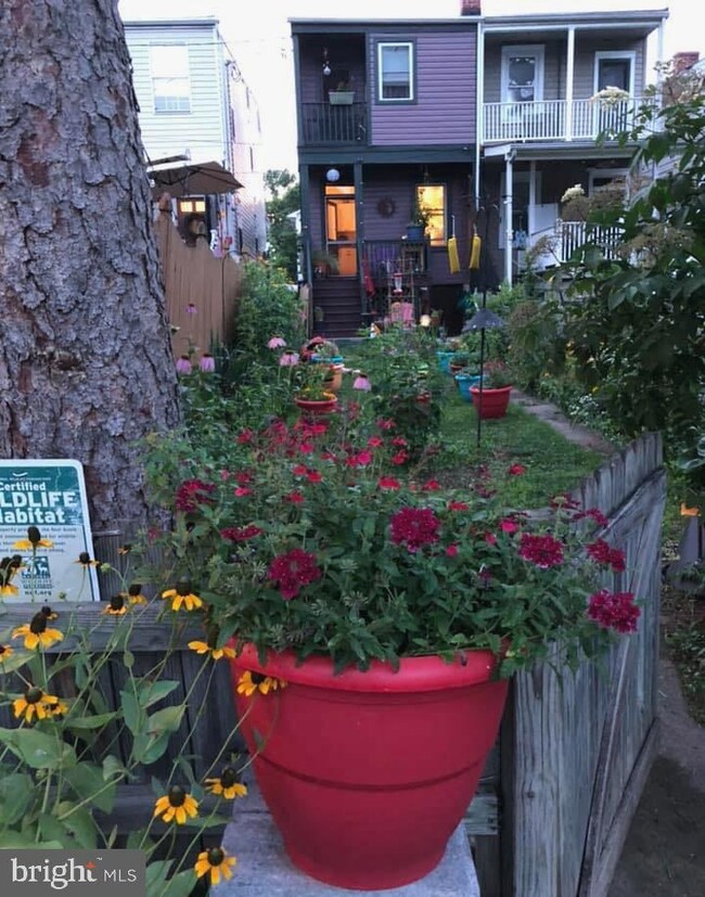 208 E 5th St, Frederick, MD 21701 - photo 3