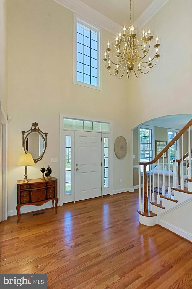 2217 Central Ave, Vienna, VA 22182 - photo 3