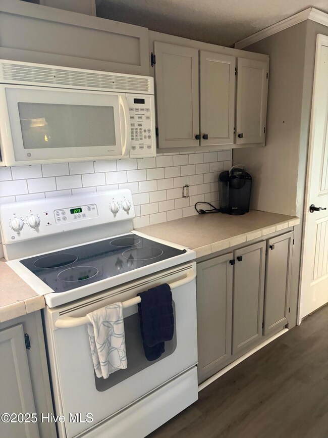 199 Nc 124 W, MacClesfield, NC 27852 - photo 7