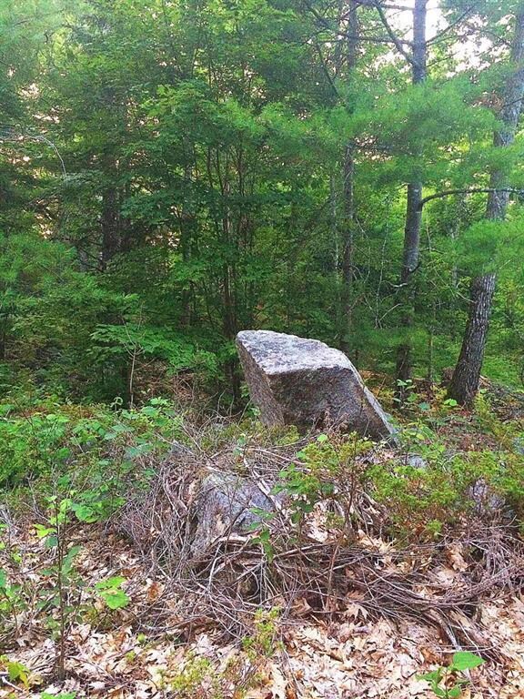 0 Southern Bay Bridges Point Rd unit 1265434, Penobscot, ME 04476 - photo 2