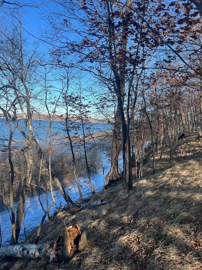 TBD Moe Hall Rd NW, Moe Township, MN 56332 - photo 4