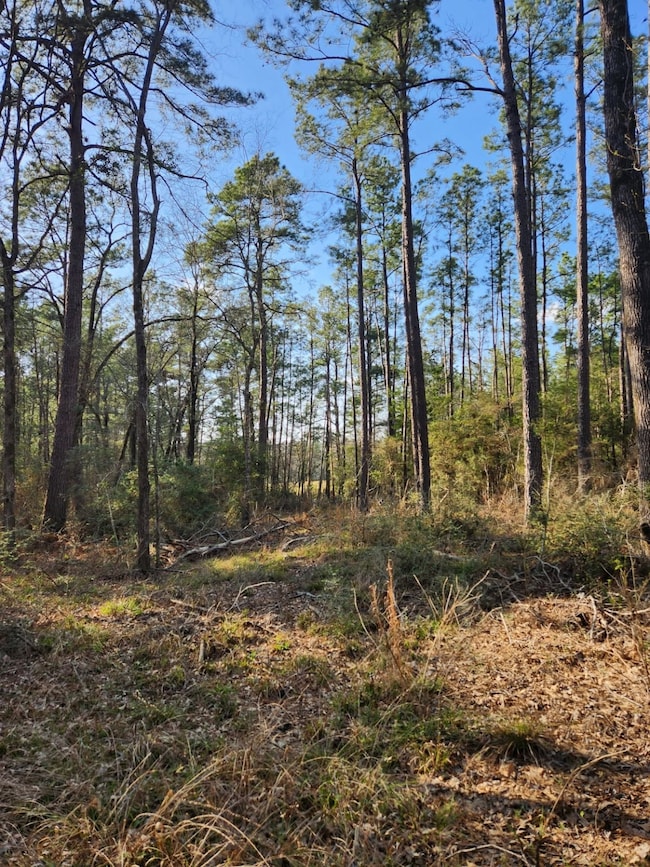 1038 Counts Rd, Point Blank, TX 77364 - photo 3