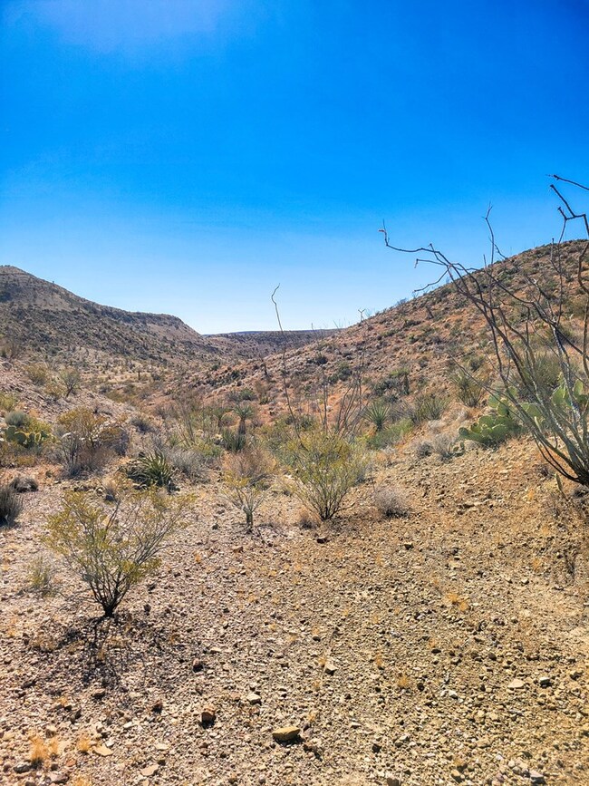 104 Tanque Caballo, Terlingua, TX 79852 - photo 5