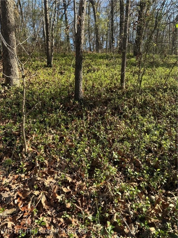 TBD Mockingbird Ln, Fort Smith, AR 72901 - photo 5