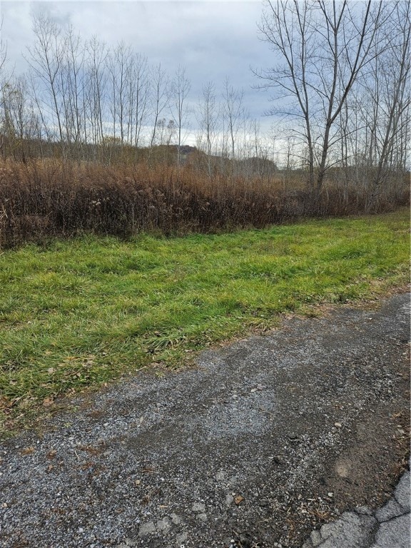 1156 Quaker Rd, MacEdon, NY 14502 - photo 2