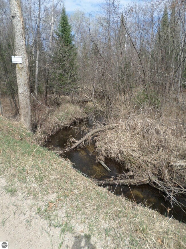 0 S Campbell Rd, West Branch Township, MI 48661 - photo 6