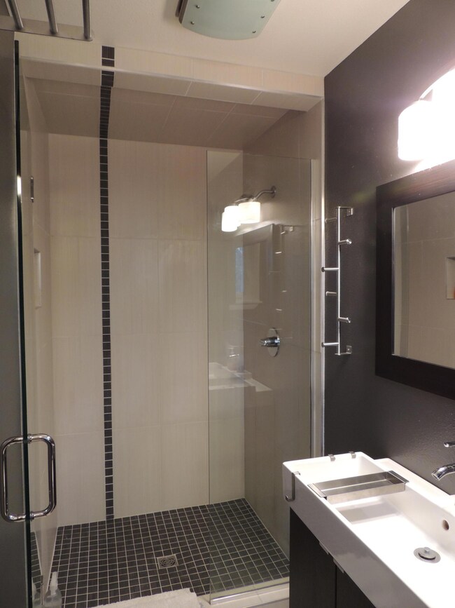 Owner's Suite Bath shower