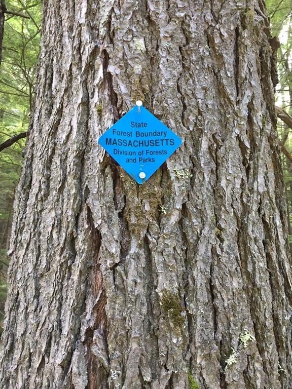 65 Kentfield Rd, Wendell, MA 01379 - photo 6