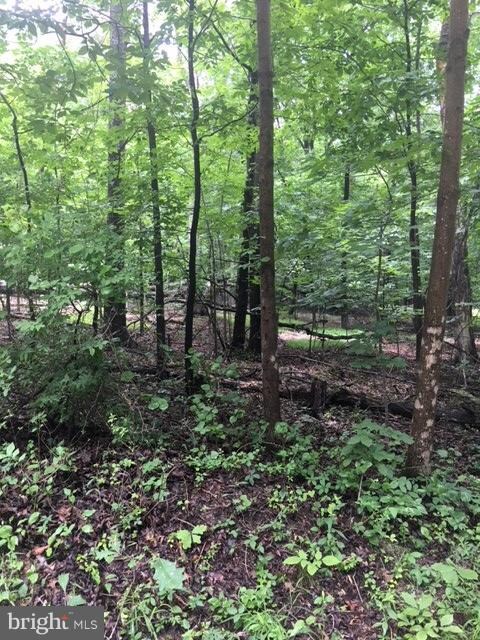 0 Cedar Ln unit 1002084256, Buckmarsh, VA 20135 - photo 2