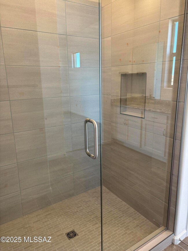 Owner's Walk-in Shower