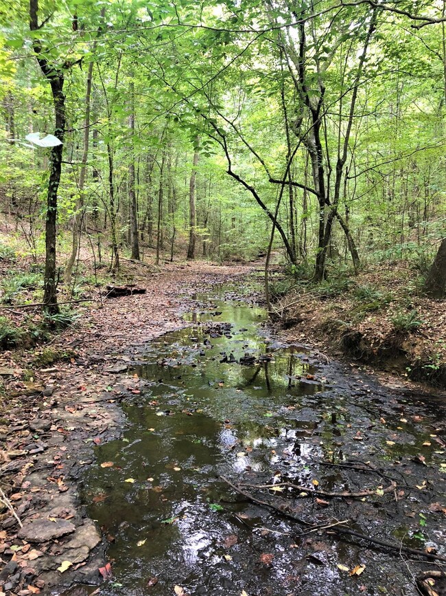 0 Salem Minor Hill Rd unit 1966616, Minor Hill, TN 38473 - photo 2