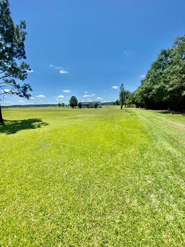 677 Blackberry Rd, Baconton, GA 31716 - photo 5