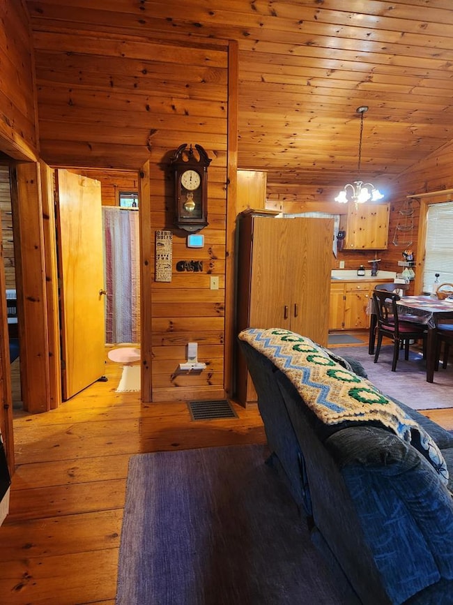 29 River Ranch Rd, Ellijay, GA 30540 - photo 5