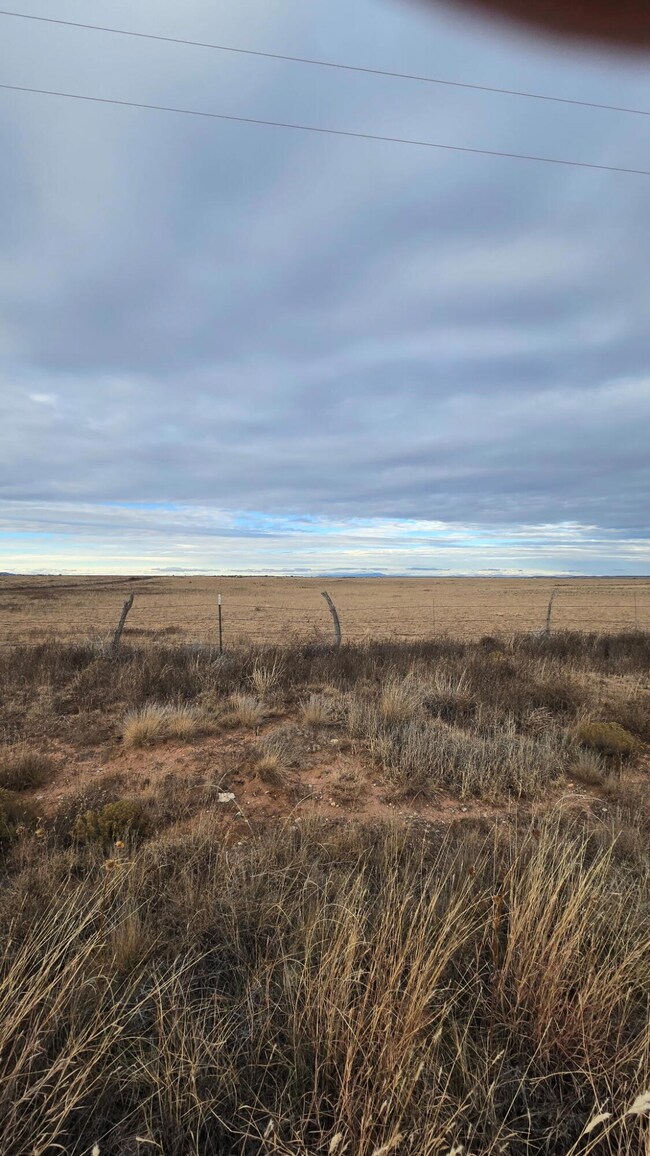 89 B Anaya Rd, Stanley, NM 87056 - photo 4