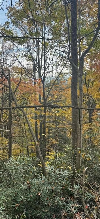 Lot E-15 Laurel Ridge Rd, Banner Elk, NC 28604 - photo 4