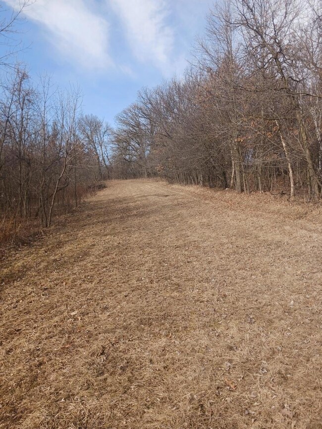 12192 210th St, Cold Spring, MN 56320 - photo 6