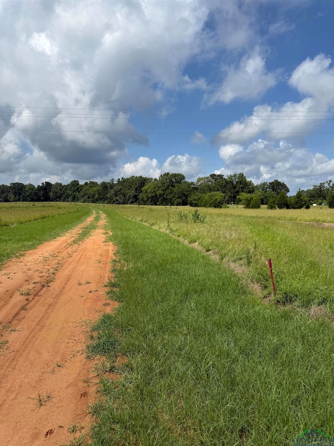 TBD Cr 317, Henderson, TX 75652 - photo 2