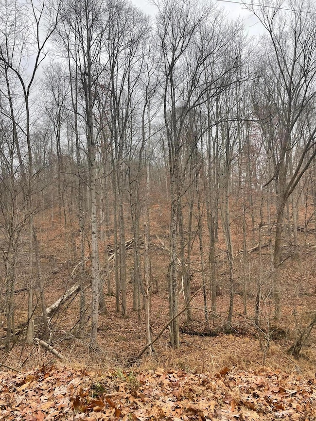 0 McKee Hill Rd unit 225044478, Frazeysburg, OH 43822 - photo 5