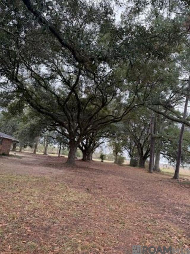 6010 Louisiana 22, Sorrento, LA 70778 - photo 4