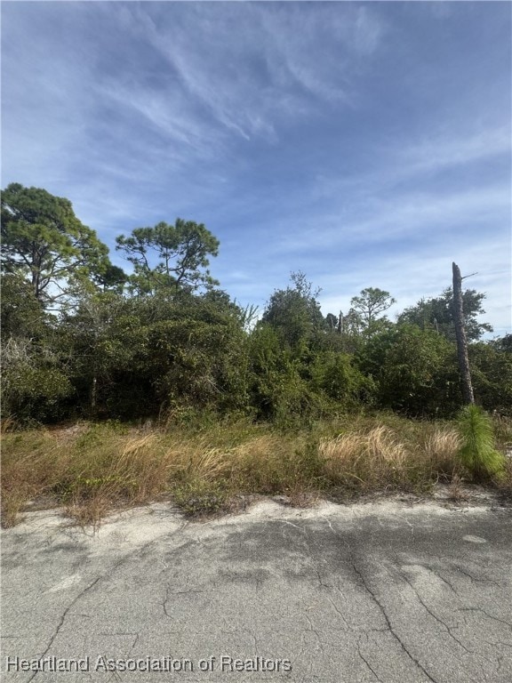 208 Gasparilla Way NE, Lake Placid, FL 33852 - photo 3