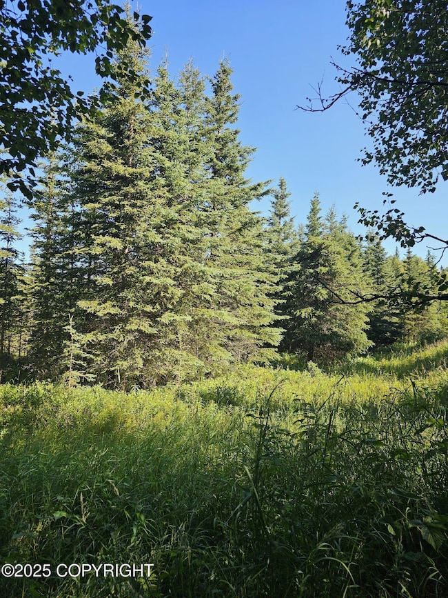 L9 Tolum Rd, Cohoe, AK 99568 - photo 4