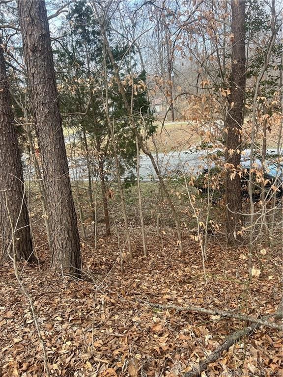 0 Hwy 135 unit Tract 3 2025011288, New Salisbury, IN 47161 - photo 7