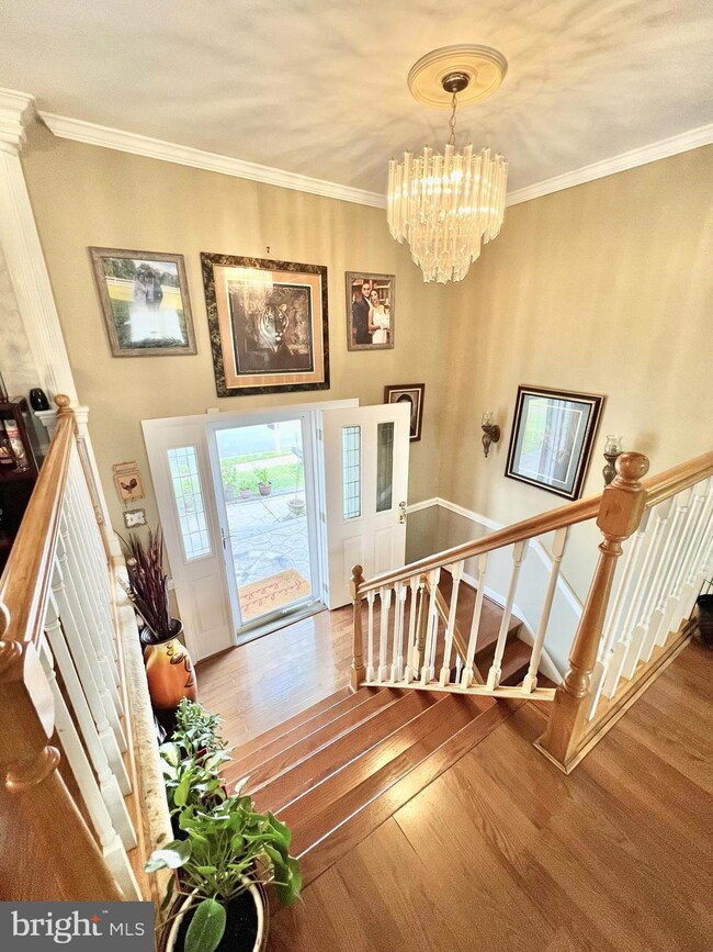 13336 Nickleson Dr, Woodbridge, VA 22193 - photo 2