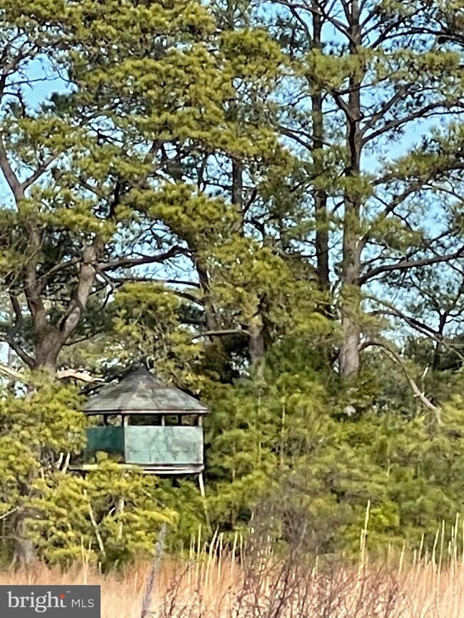 2434 Wesley Church Rd, Crapo, MD 21626 - photo 6