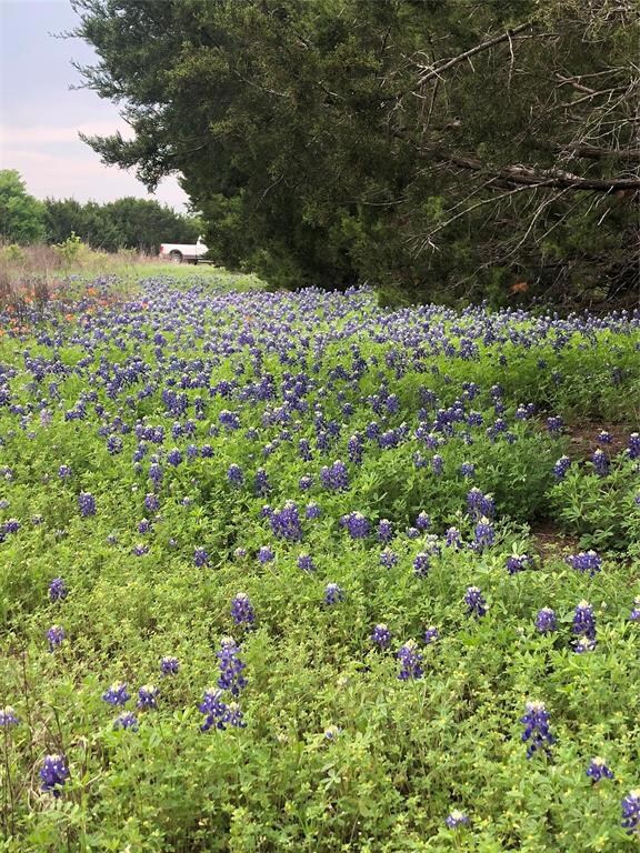 36008 Cedar View Dr, Whitney, TX 76692 - photo 4