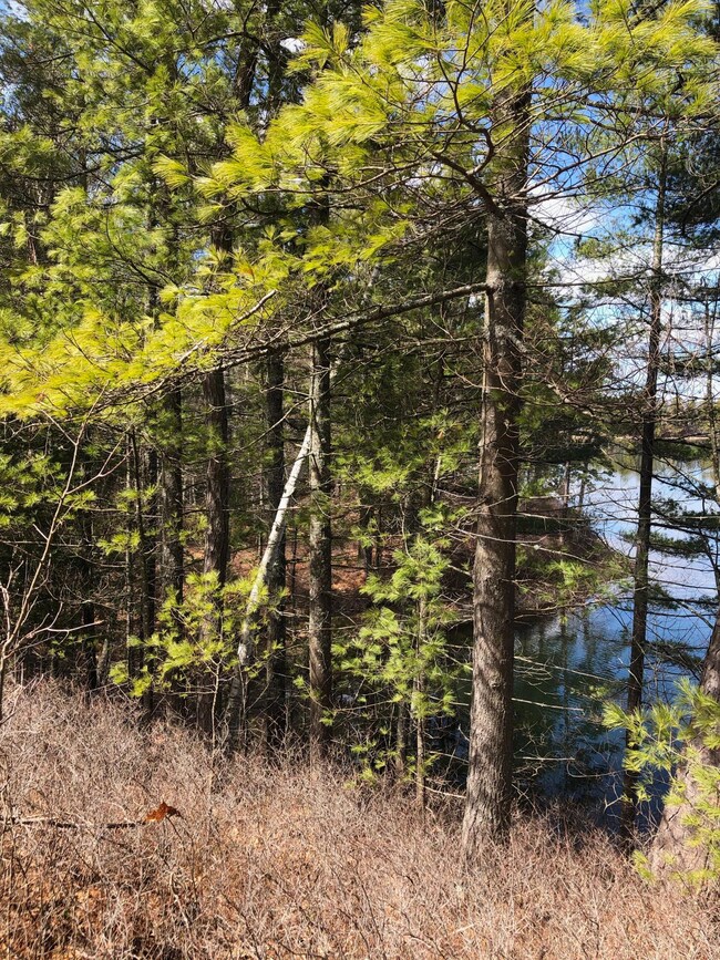 Lot 54 Anglin Rd, Wakefield, NH 03830 - photo 7