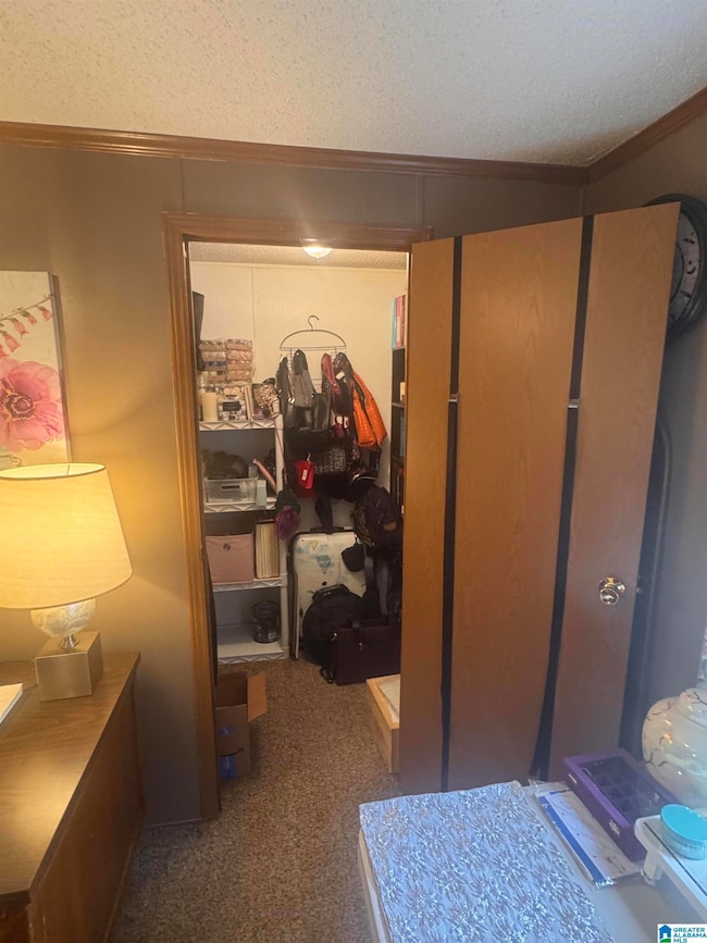 2777 Nix Rd, Phil Campbell, AL 35581 - photo 7