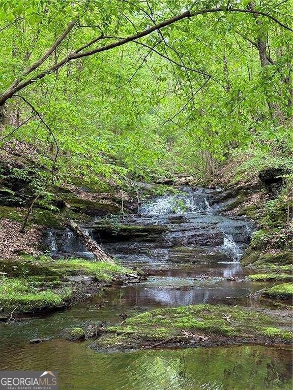 0 Paris Mountain Rd unit 10295245, Rockmart, GA 30153 - photo 2