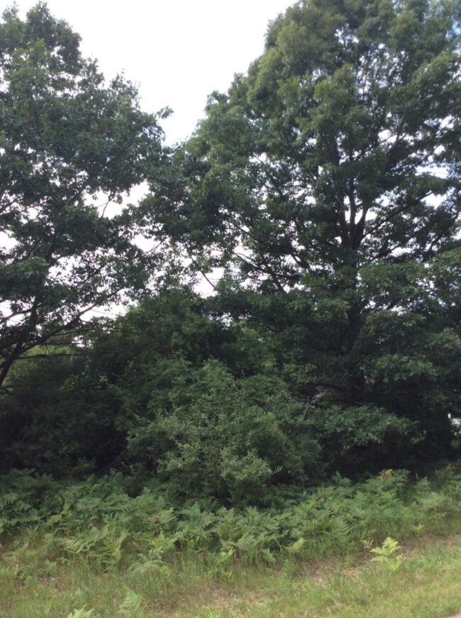 View from Road