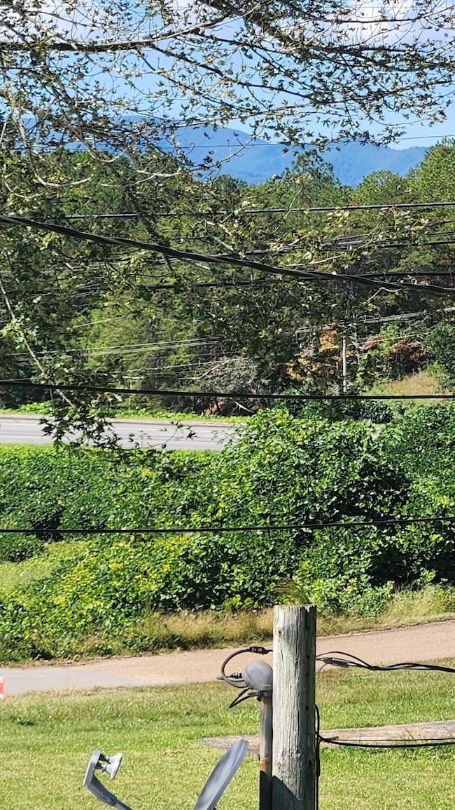 113 Spruce St, Copperhill, TN 37317 - photo 5