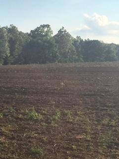 0 Pomona Claysville Rd unit 972122, Crossville, TN 38571 - photo 6