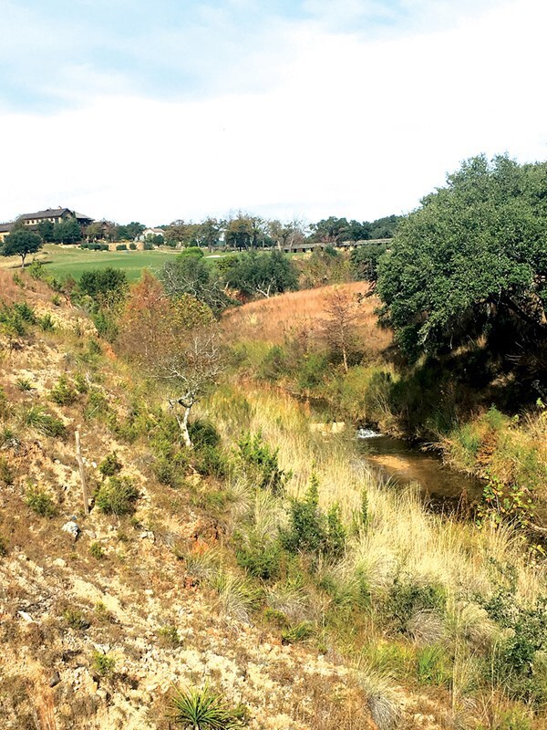 306 Oakview Ct unit 306, Fredericksburg, TX 78624 - photo 6