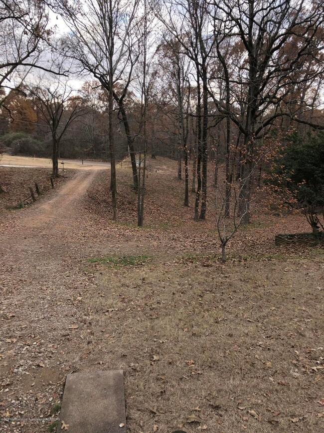 Front yard