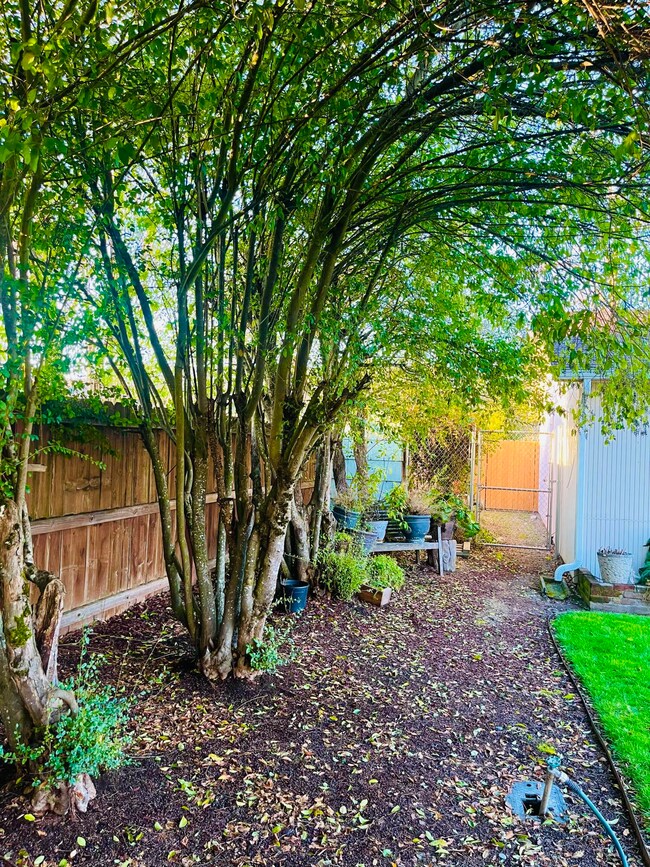 938 SW Mary Ave, Grants Pass, OR 97526 - photo 5