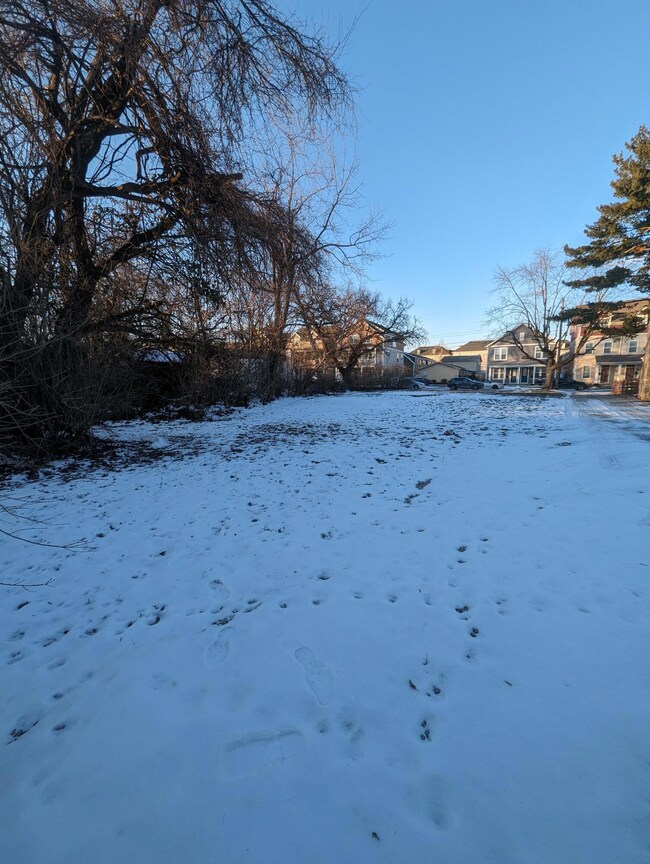 Back of Lot View