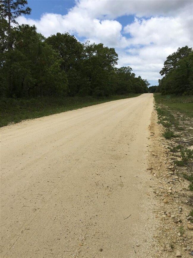 0 Turkey Oak Rd unit 145 270577, Keaton Beach, FL 32348 - photo 3